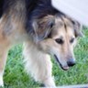 Meet your Posher, Niklas